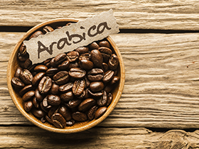 brazilian arabica coffee export